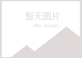 新城子区女孩造纸有限公司